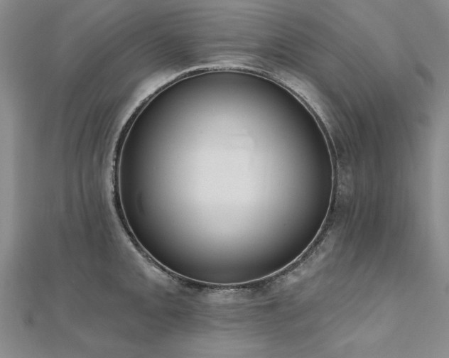 X0000112541093200908171437