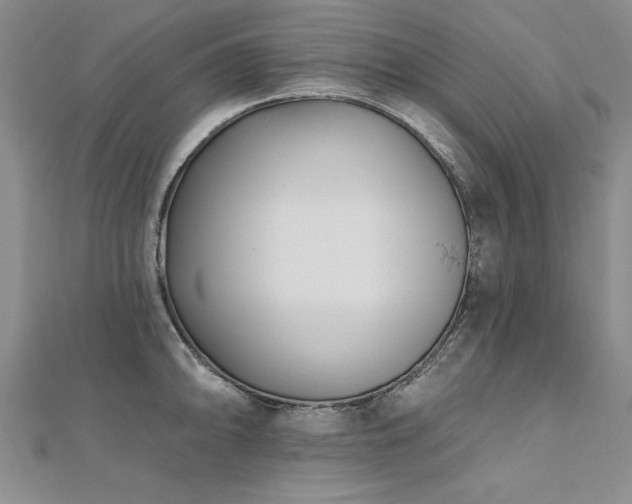 X0000112541094200908171437