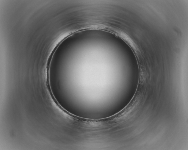 X0000112541095200908171437