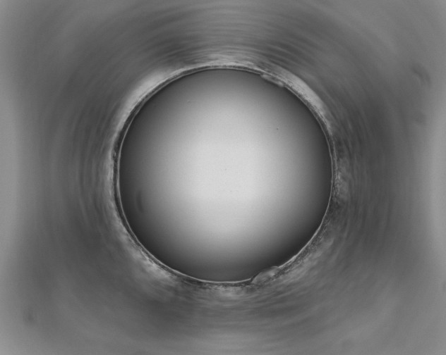 X0000112541096200908171437