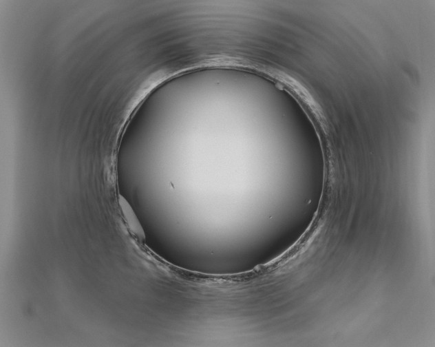 X0000112541097200908171437