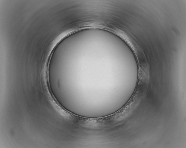 X0000112541098200908171437