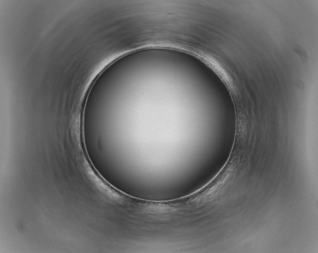 X0000112541100200908171437