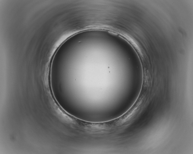 X0000112541102200908171437