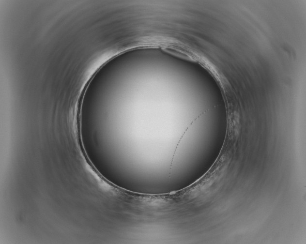 X0000112541103200908171437