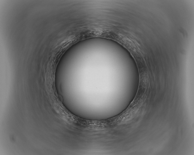 X0000112541105200908171436