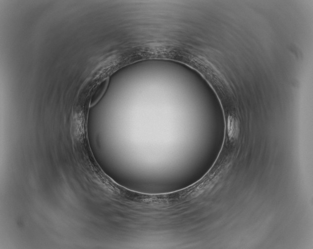 X0000112541107200908171436