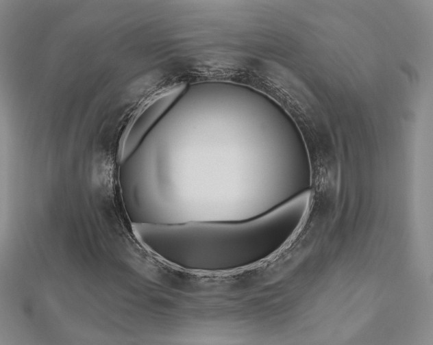 X0000112541108200908171436