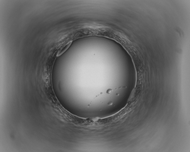 X0000112541109200908171436