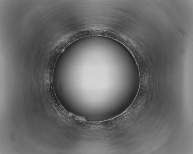 X0000112541110200908171436