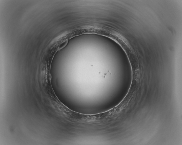 X0000112541111200908171436