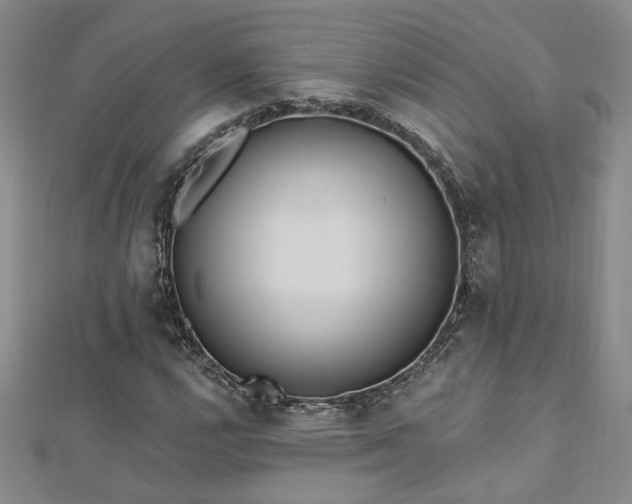 X0000112541112200908171436