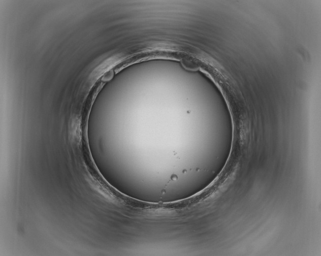 X0000112541113200908171436