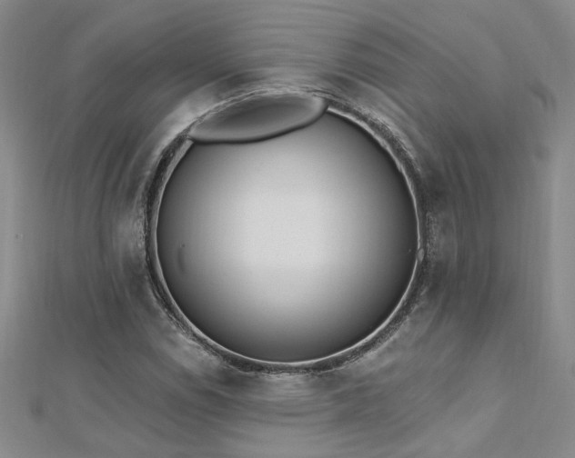 X0000112541114200908171436