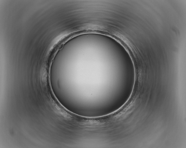 X0000112541115200908171436