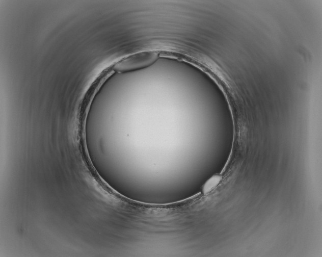 X0000112541116200908171436