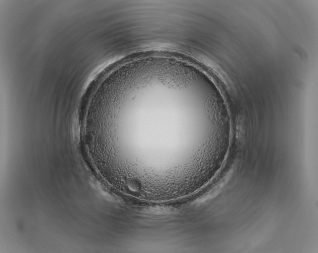 X0000112541117200908171436