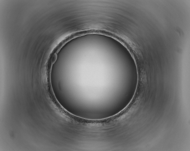 X0000112541118200908171436