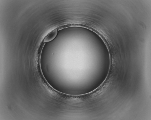 X0000112541119200908171436