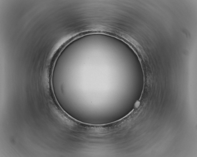 X0000112541120200908171436