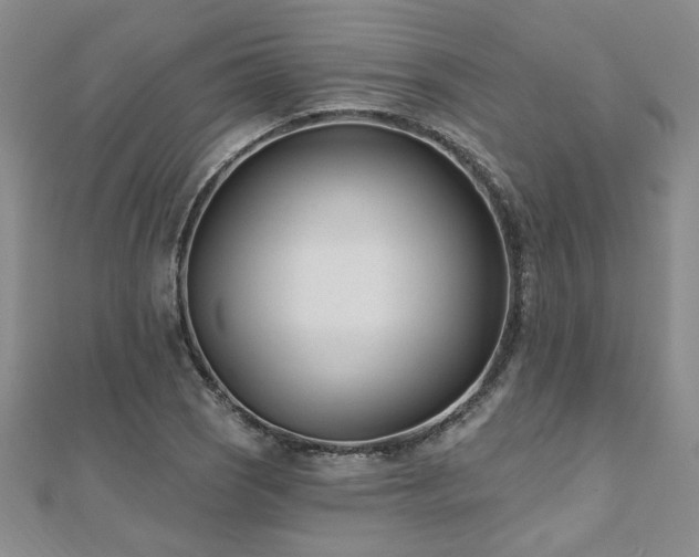 X0000112541121200908171436