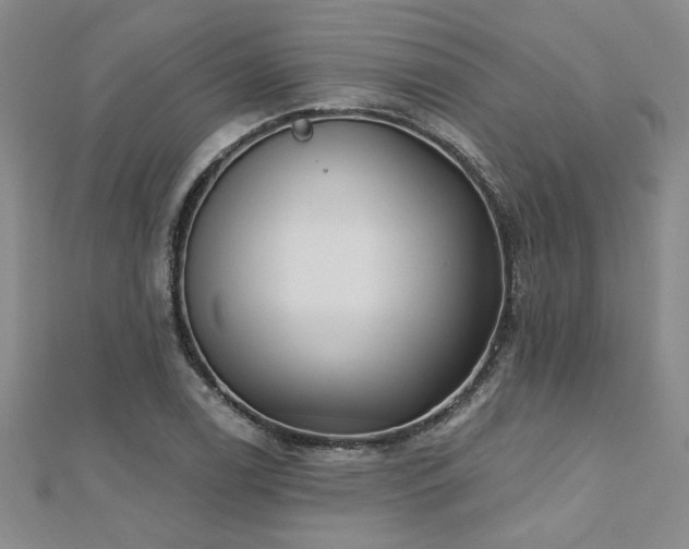 X0000112541122200908171436