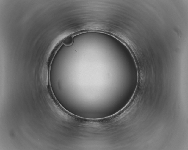 X0000112541123200908171436