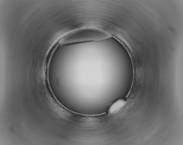 X0000112541124200908171436