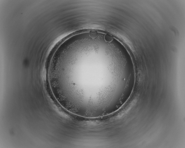 X0000112541125200908171436