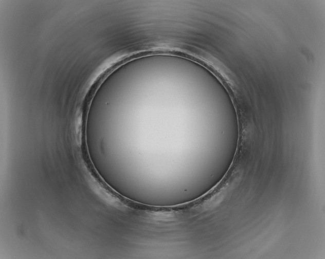 X0000112541126200908171436