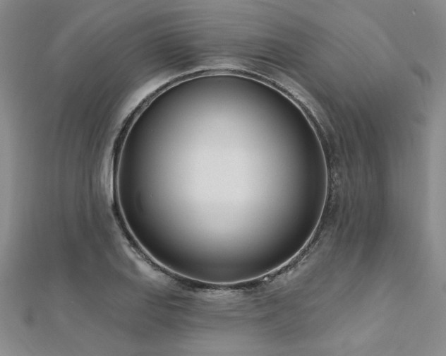 X0000112541127200908171436
