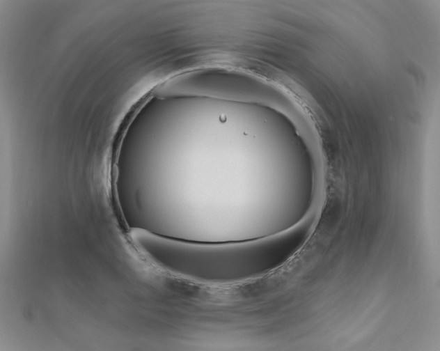 X0000112541128200908171436