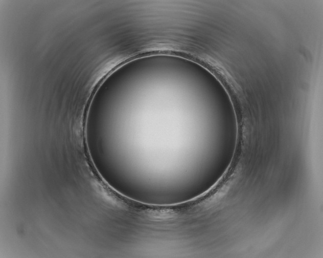 X0000112541129200908171436