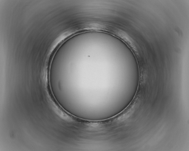 X0000112541130200908171436
