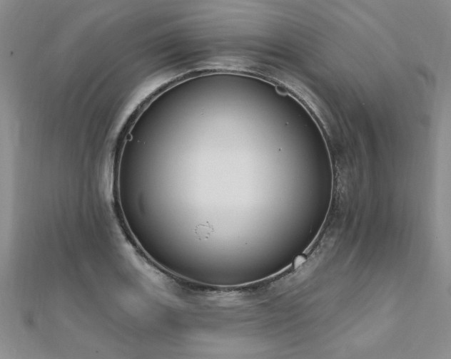 X0000112541131200908171436