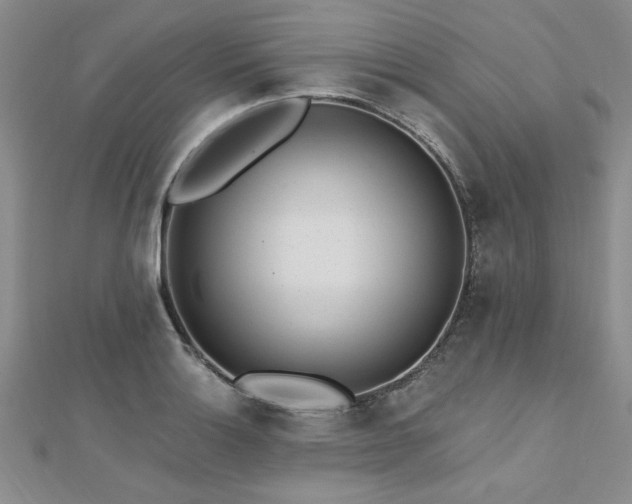 X0000112541132200908171436