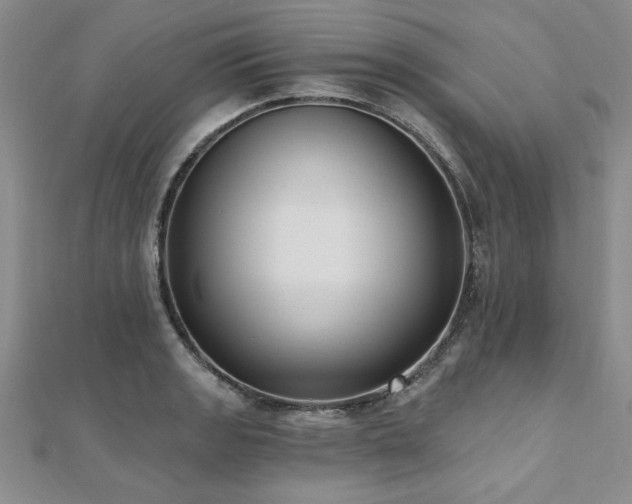 X0000112541133200908171436