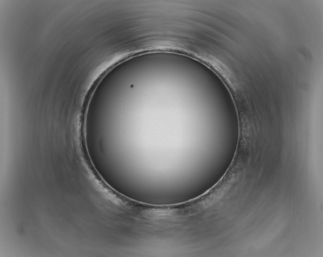 X0000112541134200908171437