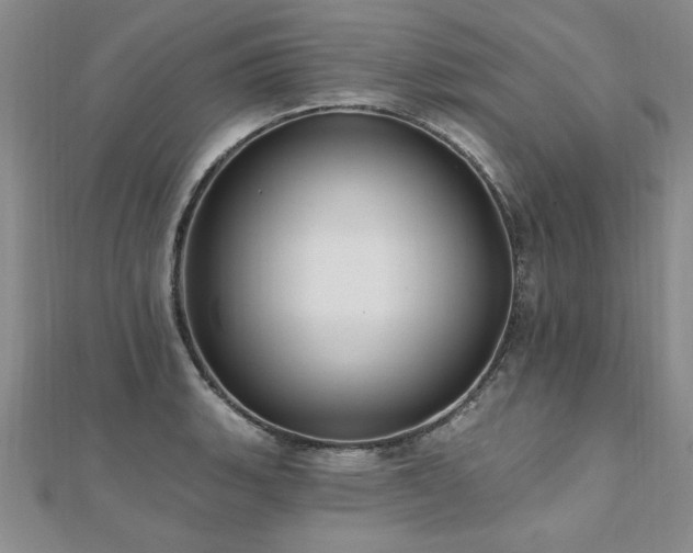 X0000112541135200908171437