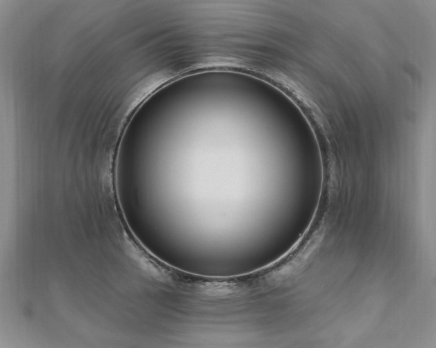X0000112541137200908171437