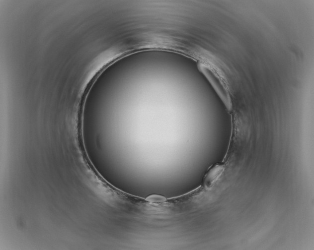 X0000112541138200908171437