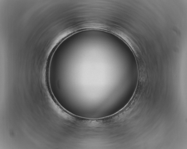X0000112541139200908171437