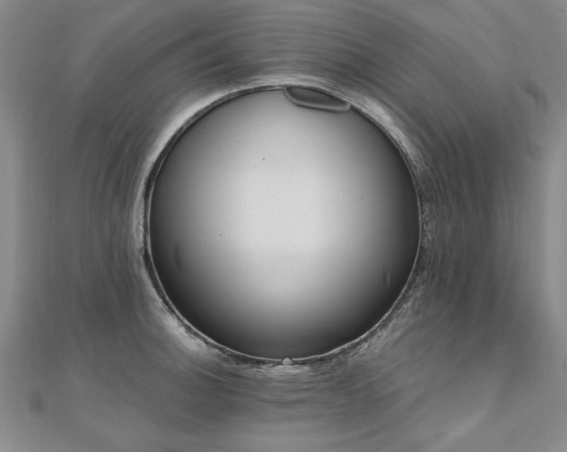 X0000112541140200908171437