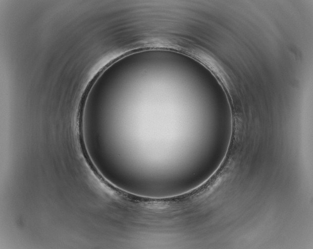 X0000112541141200908171437