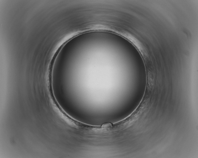 X0000112541142200908171437