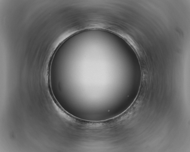 X0000112541143200908171437