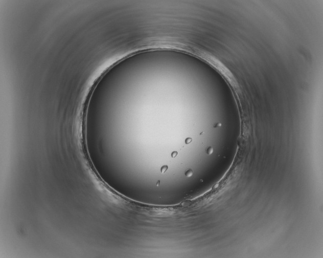 X0000112541144200908171437