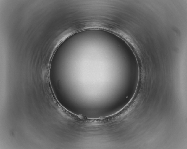 X0000112541145200908171437