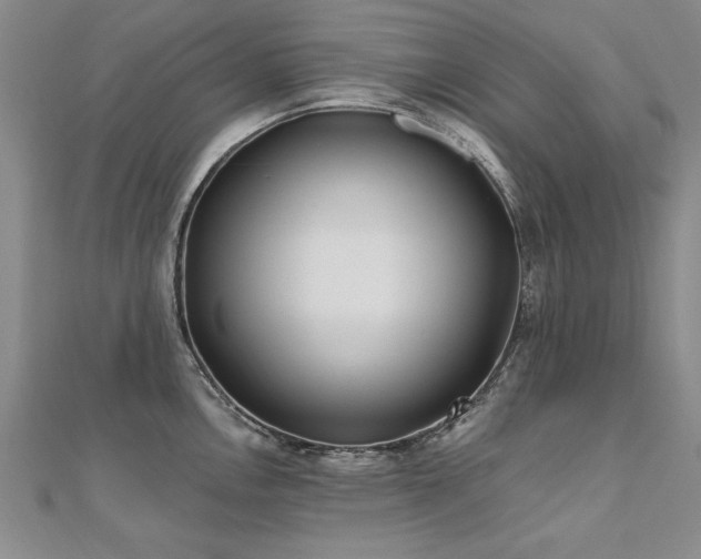 X0000112541146200908171437