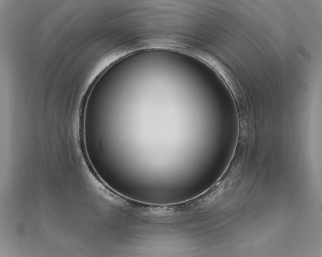 X0000112541147200908171437